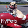 Flypets - перевозка животных самолетом